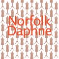 Norfolk Daphne